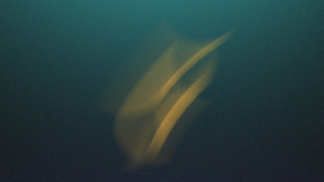 Eine abstrakte, organisch geschwungene Lichtform vor einem körnigen Hintergrund mit sanftem Verlauf.